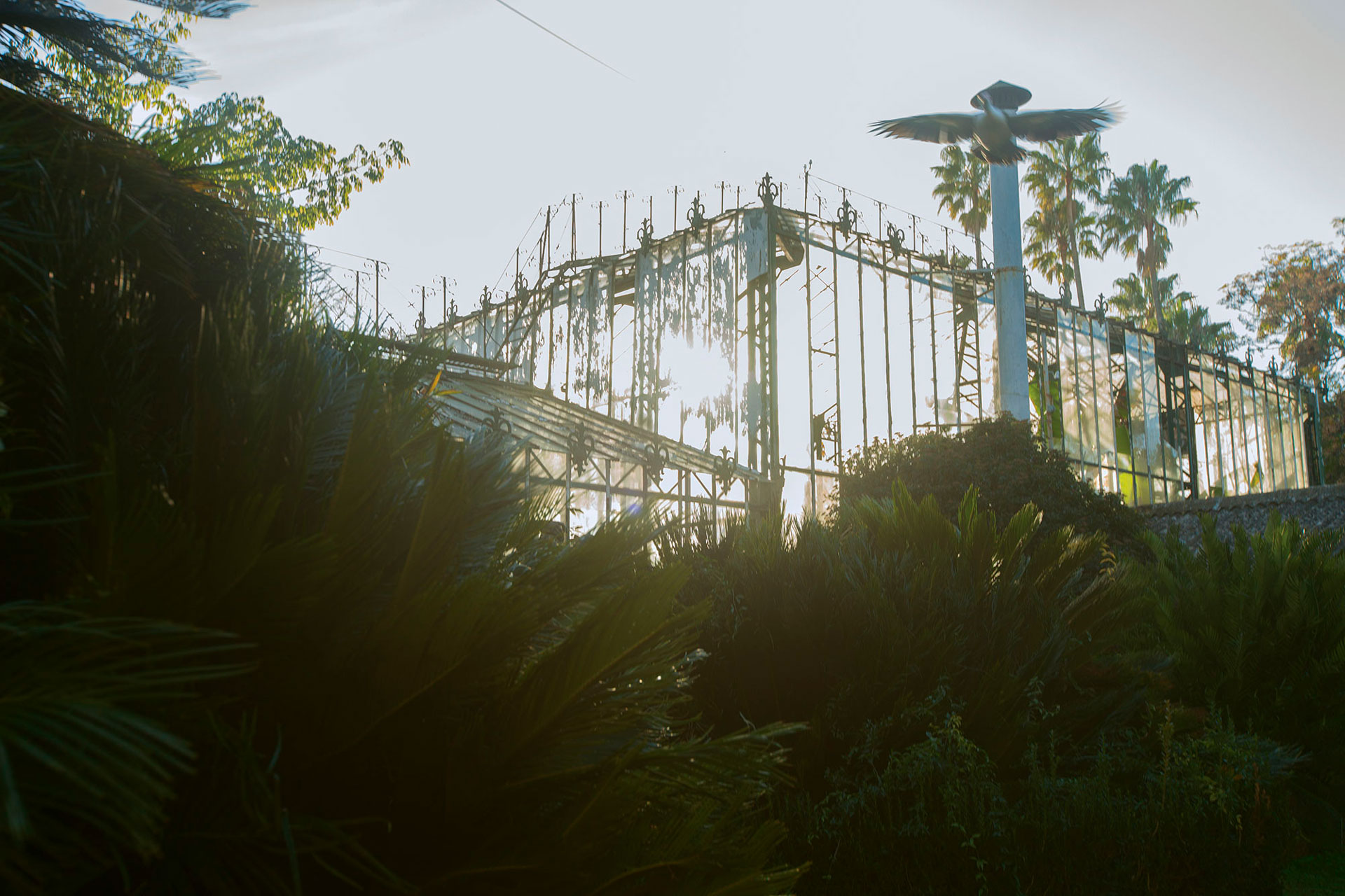Jardim 4