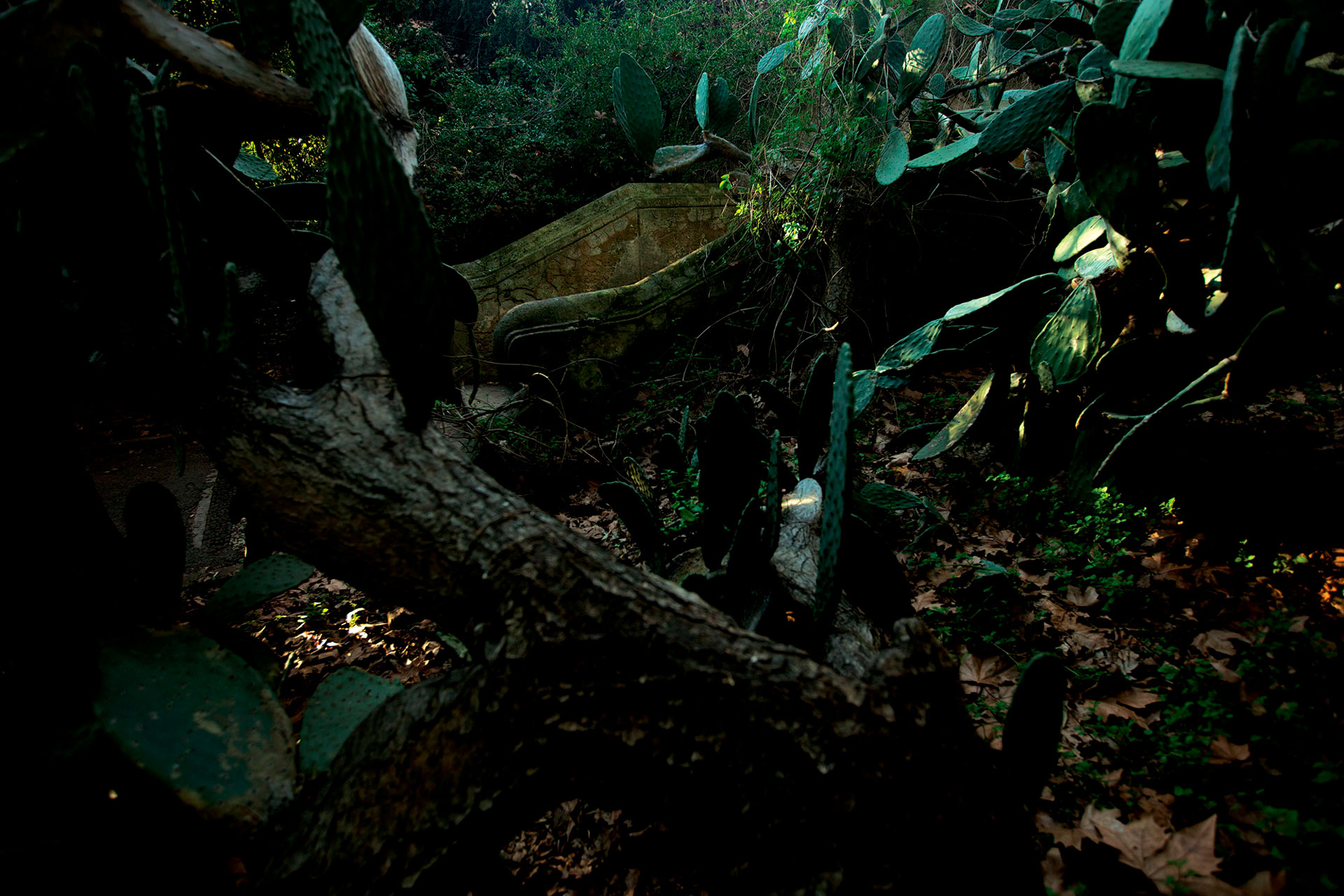 Jardim 2