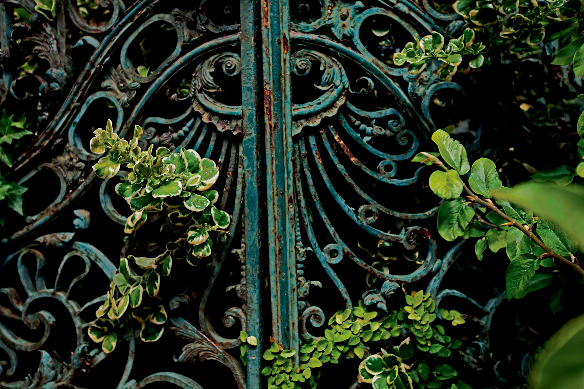 Jardim 1