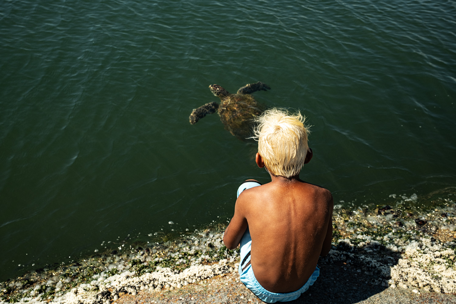 Chantal_simone-guaratiba25_12_25-8334